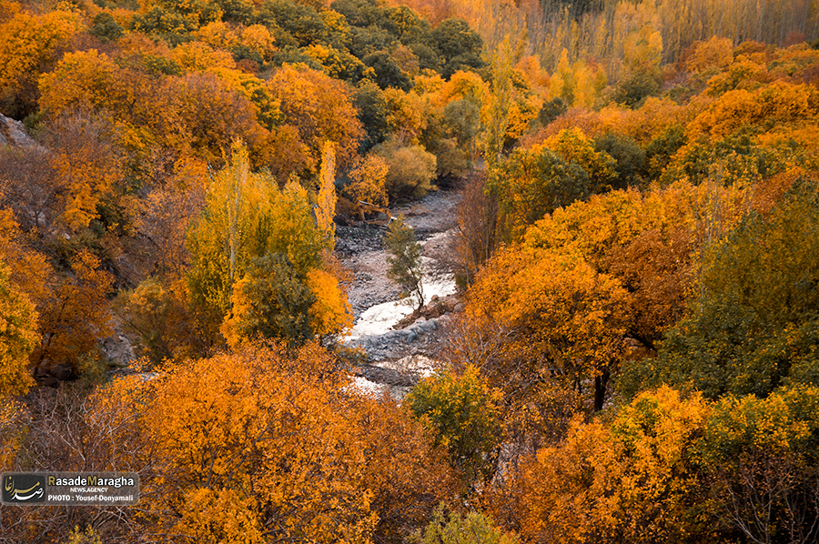 پاییز هزار رنگ مهمان باغ شهر ایران (۲)