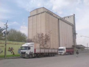 ۸۱۶۷۹۶۱۵-۷۰۰۲۸۲۳۶