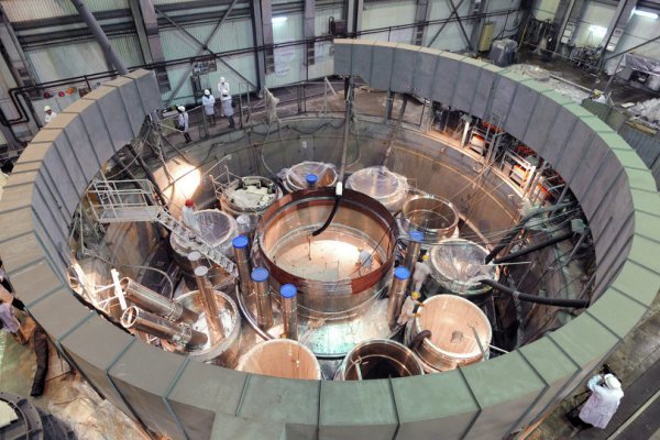 عضو تیم مذاکره کننده اعلام کرد: آغاز مطالعات سازمان انرژی اتمی بر روی انواع رآکتور هسته‎ای