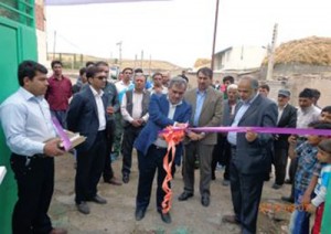 ۸۱۷۵۳۴۰۹-۷۰۱۵۲۷۳۵