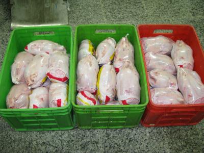 رئیس دامپزشکی شهرستان مراغه :معدوم سازی ۹/۵ تن گوشت مرغ فاسد و پای مرغ