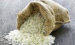 جزئیات خرید برنج آمریکایی/ برنج‌ها مجوز خرید داشته است /‌ یک مسئول: اگر ممنوع بوده نباید از گمرک مجوز می‌گرفت‌