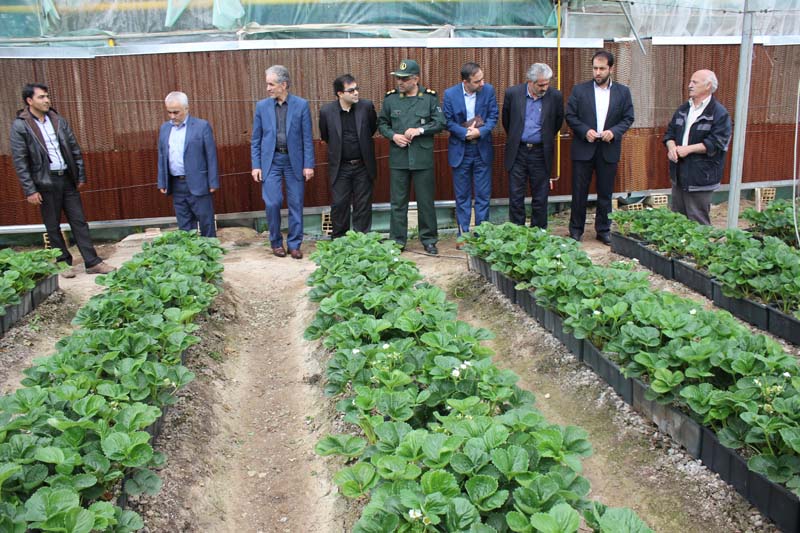 بازدید مسئولین ادارات و بسیج سازندگی مراغه از دو طرح اقتصاد مقاومتی این شهرستان