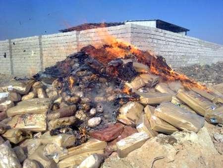 معدوم سازی ۵۳۰ کیلو گرم گوشت مرغ غیربهداشتی در مراغه