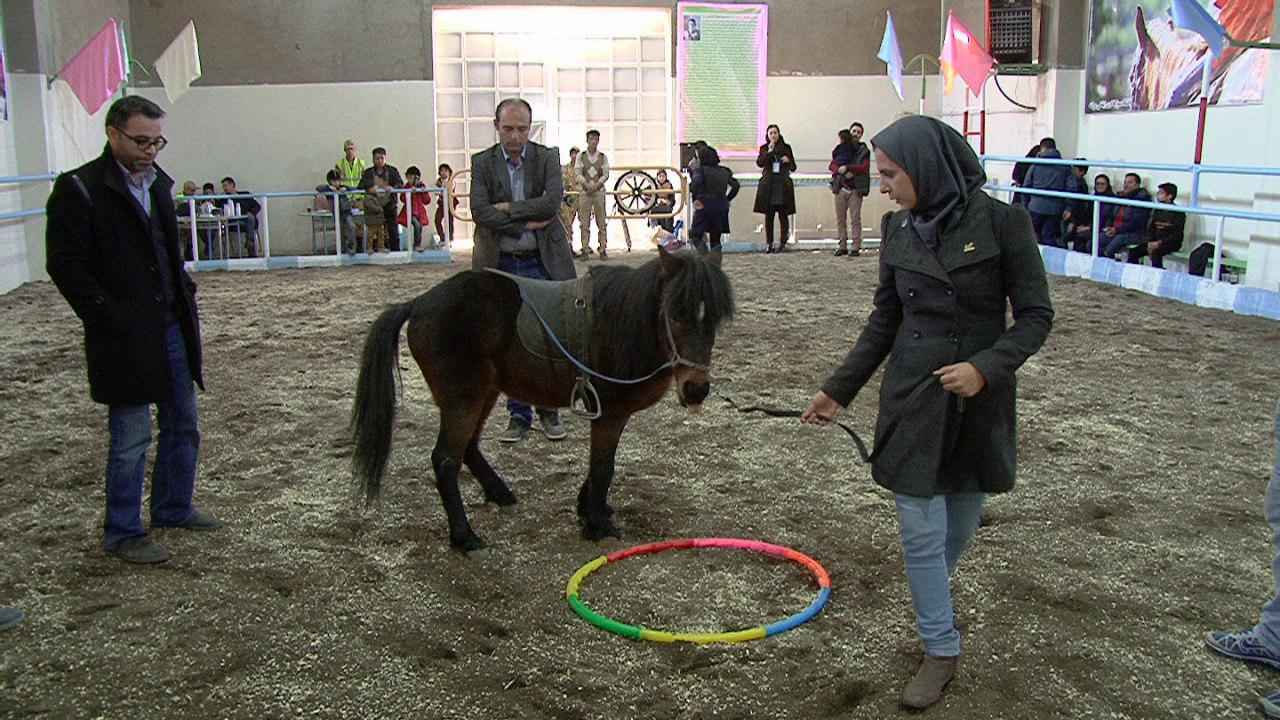 برگزاری نخستین دوره کشوری مربیگری اسب سواری کودکان در مراغه