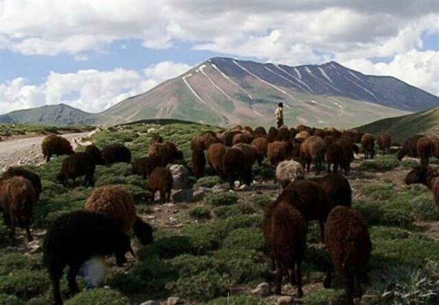 نابودی منابع طبیعی در دامنه عروس کوه های ایران