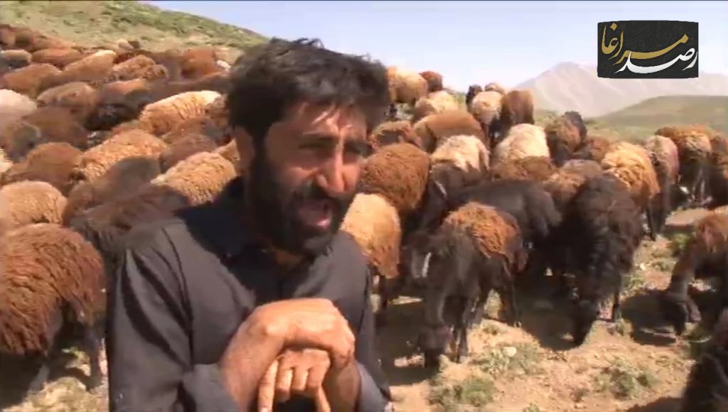 Polish 20210602 090408969