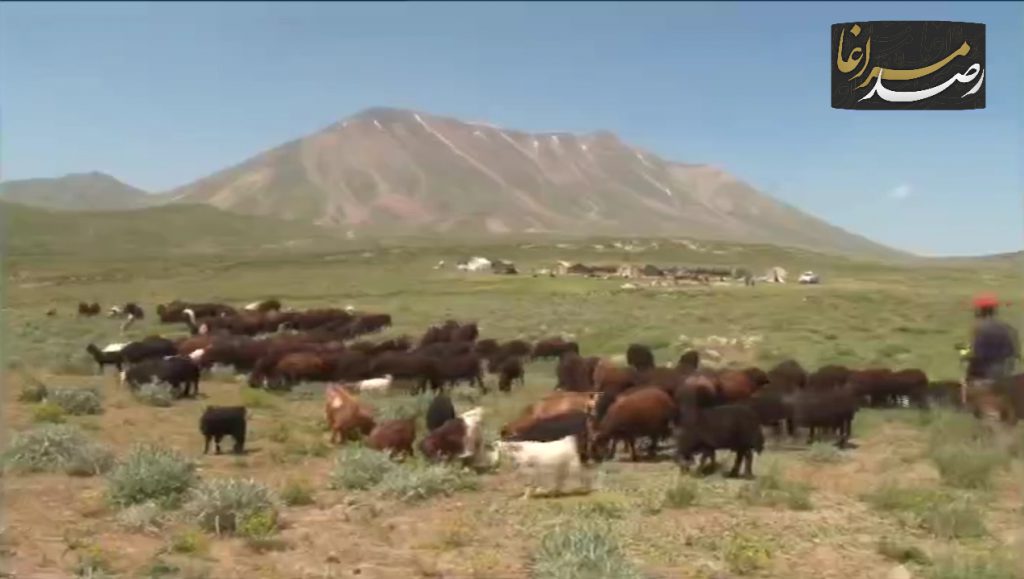 Polish 20210602 090549617