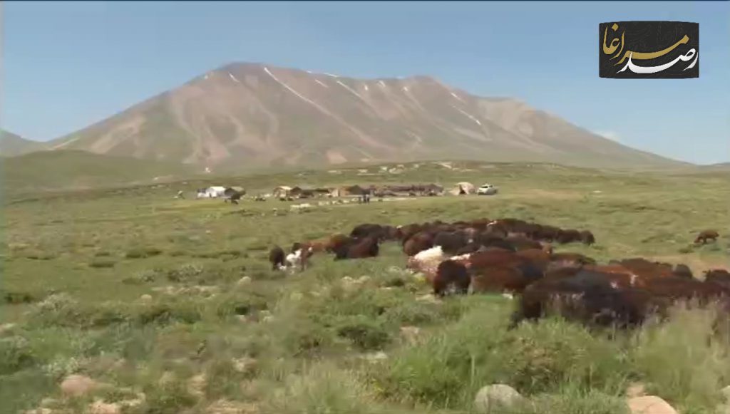 Polish 20210602 090702336