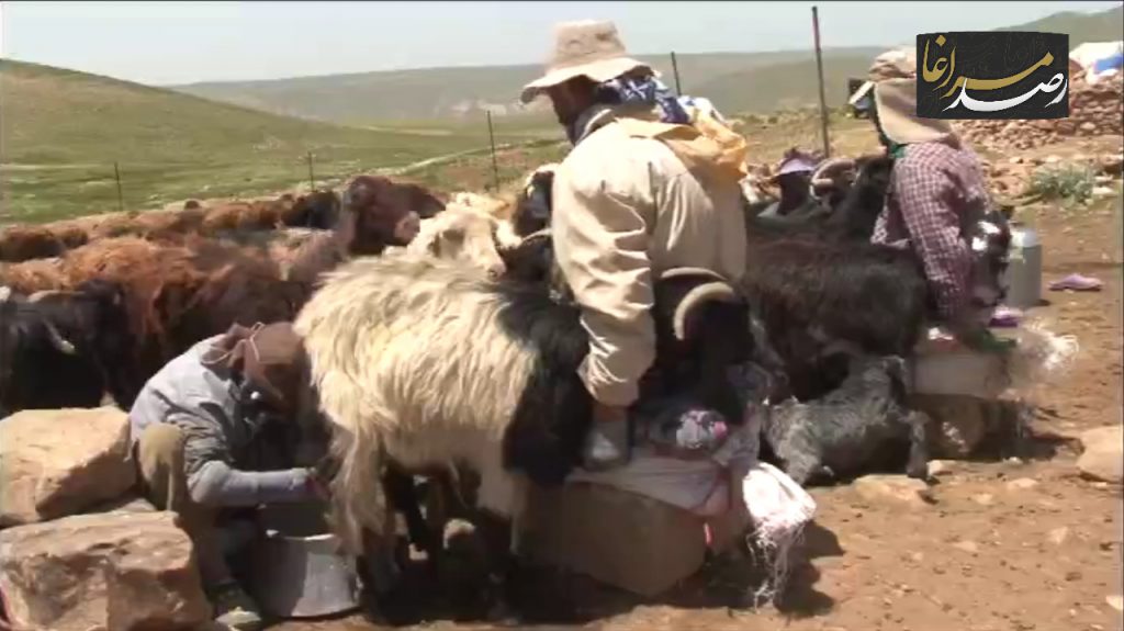 Polish 20210602 090746090