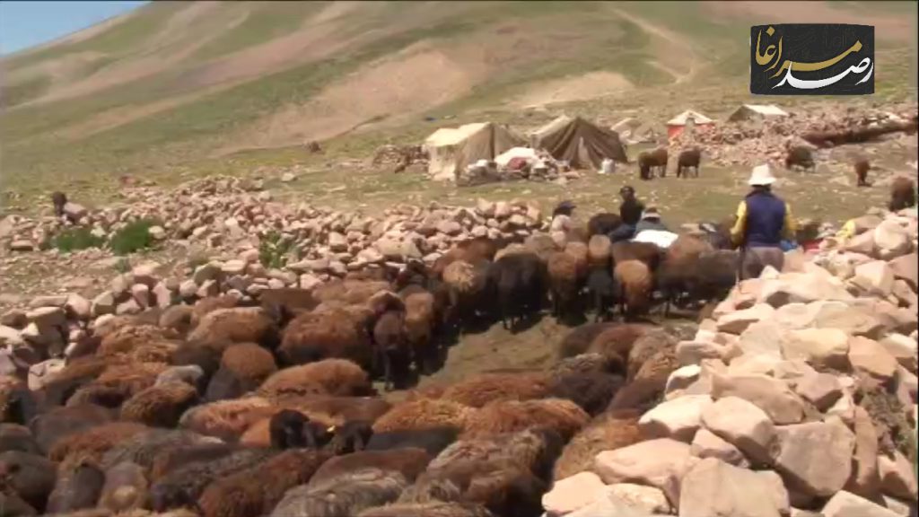 Polish 20210602 091056323