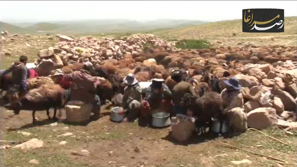 Polish 20210602 091247941