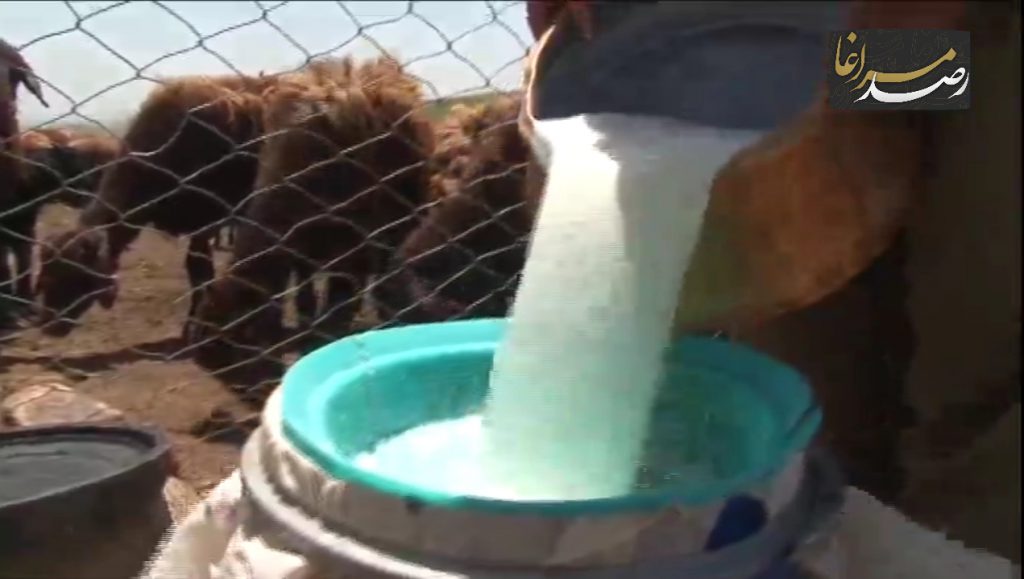 Polish 20210602 091442360