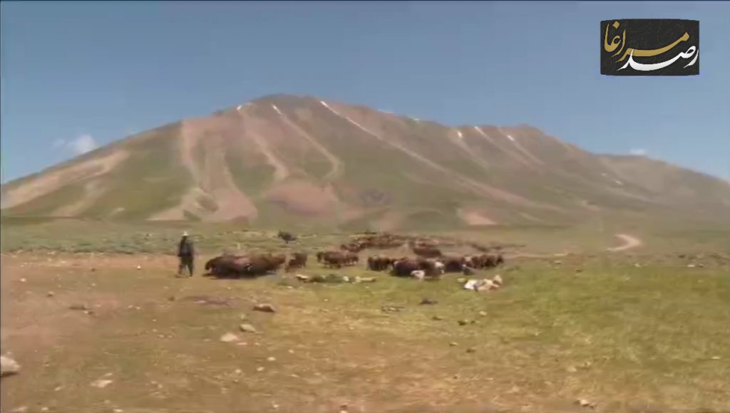 Polish 20210602 091538118