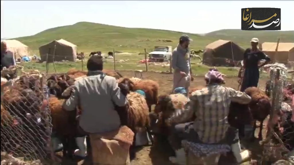 Polish 20210602 091628602