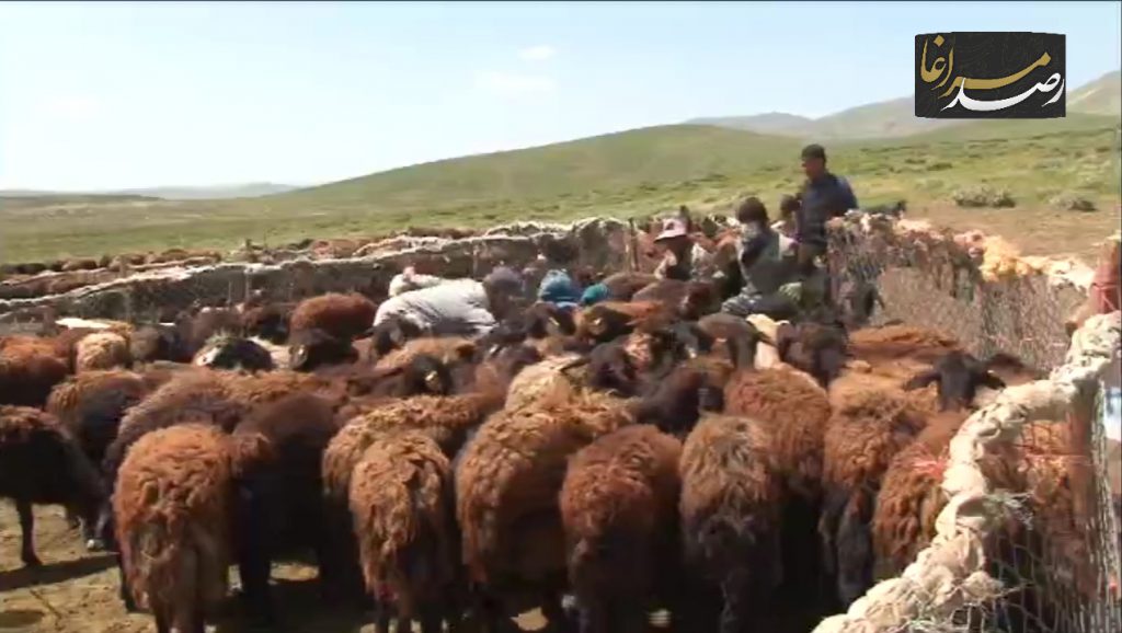 Polish 20210602 091718524