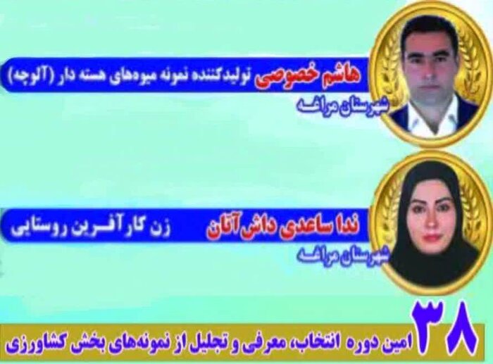 ۲ بهره‌بردار بخش کشاورزی مراغه نمونه ملی شناخته شدند