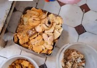 جمع آوری ۱۸۰۰ کیلوگرم مواد غذایی فاسد در مراغه