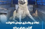 نجات و رهاسازی مهمان ناخوانده گلشن زهرای مراغه