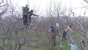 b0fea860 5125 431a b906 e03e923a2f9f