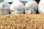 کشف بیش از چهار تن نهاده دامی قاچاق در مراغه