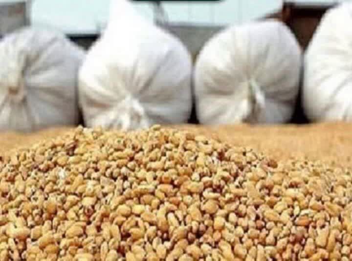 کشف بیش از چهار تن نهاده دامی قاچاق در مراغه