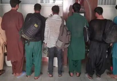 جمع‌آوری اتباع غیرمجاز در شهرستان مراغه