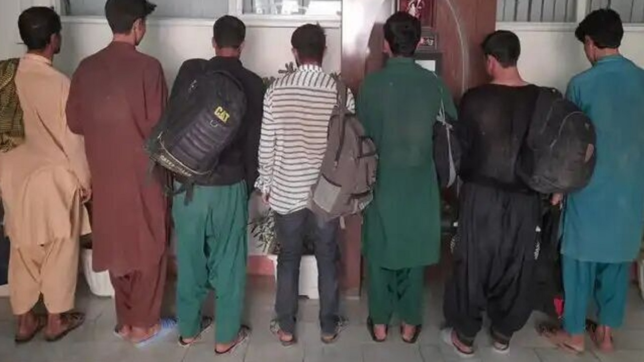 جمع‌آوری اتباع غیرمجاز در شهرستان مراغه